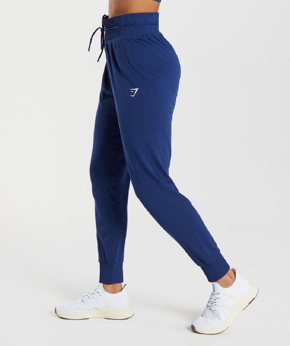 Gymshark Vital Seamless 2.0 Ženske Jogger Hlače Plave | HR 4113LIS